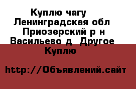 Куплю чагу . - Ленинградская обл., Приозерский р-н, Васильево д. Другое » Куплю   